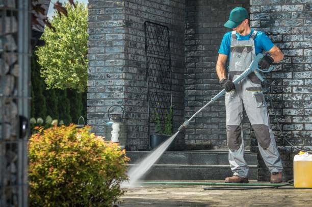 Best Roof Washing  in Hoopeston, IL